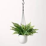 10" Artificial Hanging Fern Plant - Hilton Carter for Target