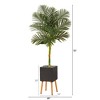 Nearly Natural 6-ft Golden Cane Artificial Palm Tree in Black Planter with Stand - 2 of 3