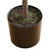 Nearly Natural 5' Artificial Real Touch Down Swept Norfolk Pine Tree with Natural Look - 3 of 4