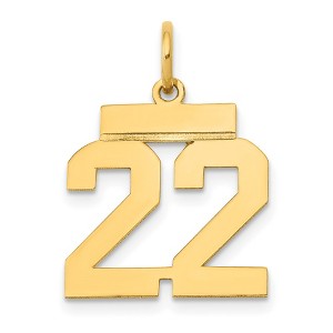 Black Bow Jewelry 14k Yellow Gold, Athletic Collection, Small Polished Number 22 Pendant - 1 of 4