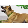 Country Brook Petz Deluxe Dog Collar - Irish Pride Collection - 3 of 4