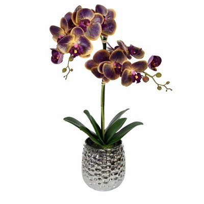 Vickerman Artificial Potted Real Touch Phalaenopsis Spray