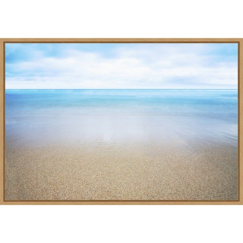 23 X 16 Hawaiian Shoreline And Ocean By Design Pics Danita Delimont Framed Canvas Wall Art Amanti Art Target