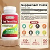 3 Pack Best Naturals Red Yeast Rice 1200 mg 120 Tablets - 2 of 4