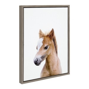 18" x 24" Sylvie Animal Studio Baby Horse Framed Canvas by Amy Peterson - Kate & Laurel All Things Decor - 1 of 4