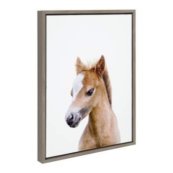 18" x 24" Sylvie Animal Studio Baby Horse Framed Canvas by Amy Peterson Gray - Kate & Laurel All Things Decor