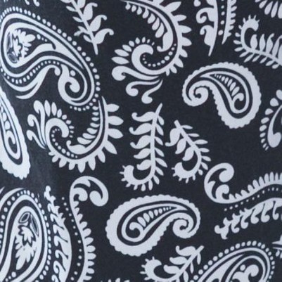 paisley black