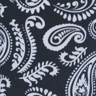 paisley black