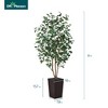 DR.Planzen 72" Faux Ficus Tree with Real Wood - UV Resistant 6FT Artificial Plant with Silk Leaves in 15.7" Planter for Indoor & Floor Decor - 3 of 4