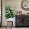 Whizmax 4/5/6ft Artificial Fiddle Leaf Fig Tree - Tall Faux Ficus Lyrata for Indoor/Outdoor Decor, Home, Office, Living Room, Housewarming Gift - 2 of 4