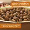 Rachael Ray Nutrish Turkey, Brown Rice & Venison Recipe Adult Super Premium Dry Dog Food - 13lbs - image 3 of 4