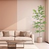 Fake Schefflera Tree, 7FT Fake Tree, Outdoor Fake Potted Silk Plant, Artificial Plants Indoor, Tall Fake Plants Indoor Artificial Trees - 4 of 4