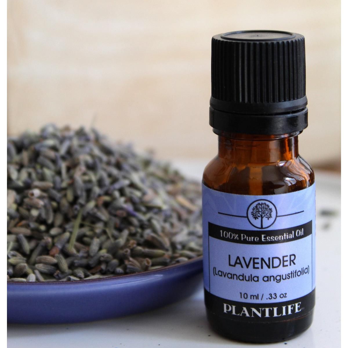 Plantlife Lavender Bulgarian Essential Oil – Therapeutic Grade – Natural, Undiluted & Steam-Distilled – No Additives or Fillers - thumbnail 4