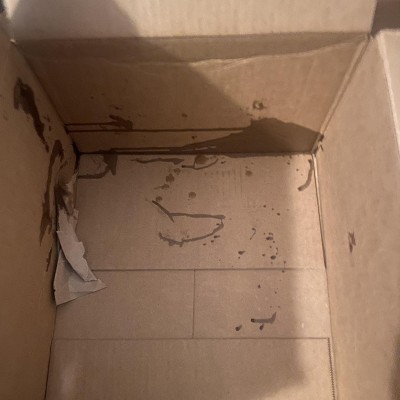 Guest review image 6 of 6, zoom in