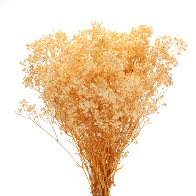 Unique Bargains Natural Dried Baby's Breath Flowers Branches for Wedding Party Decoration White 3 Pcs
