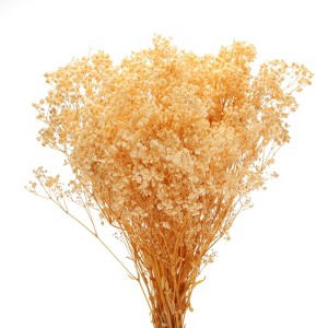 Unique Bargains Natural Dried Baby's Breath Flowers Branches for Wedding Party Decoration White 3 Pcs - 1 of 4