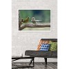 Trends International The Comedy Wildlife Photography Awards: Jacek Stankiewicz - Dispute Framed Wall Poster Prints - 2 of 4