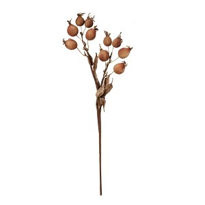 tagltd Rose Hip Spray 18 Inch - 1 of 2