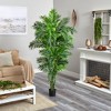 Nearly Natural 6-ft Curvy Parlor Palm Artificial Tree - 3 of 4