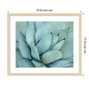 Amanti Art Agave Detail IV by Brittany Evans Wood Framed Wall Art Print - 4 of 4