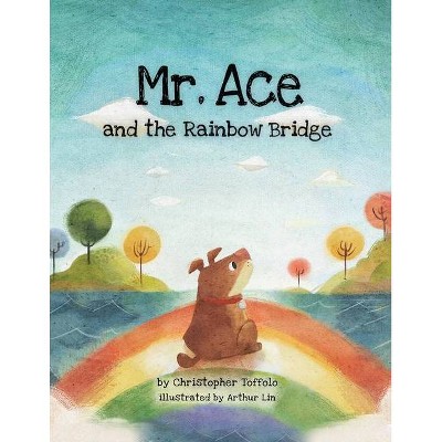 Mr. Ace and the Rainbow Bridge - by  Christopher Toffolo (Paperback)