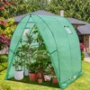 EAGLE PEAK 70.9"x70.9"x78.7" Tunnel Greenhouse Garden Greenhouse with Zippered Door and 2 Roll-up Side Windows, Clear/Green - 2 of 4