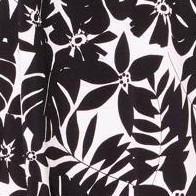 black palm