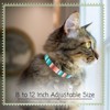 Country Brook Petz Cat Collar - Country and Western Collection - 2 of 4