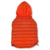 Pet Life Lightweight Adjustable 'Sporty Avalanche' Dog and Cat Coat - 2 of 4