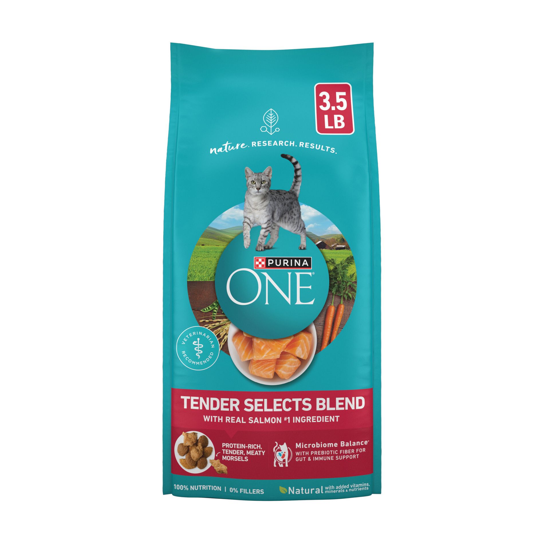 Purina ONE Tender Selects Blend Natural Real Salmon & Fish Flavor Dry Cat Food