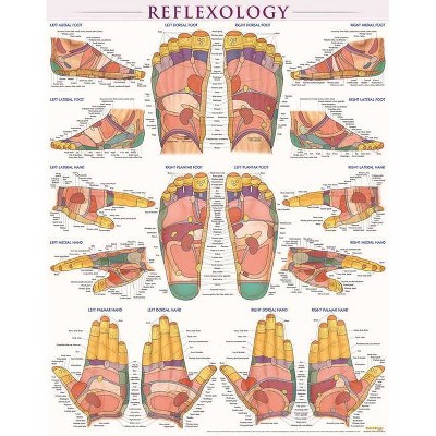 Reflexology Poster (22 X 28 Inches) - Laminated - by  Vincent Perez