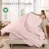 300 Thread Count Organic Cotton Percale Bed Sheet Set by Bare Home - 2 of 4