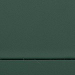 turtle green