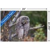 Trends International The Comedy Wildlife Photography Awards: John Blumenkamp - Monday Blahs Unframed Wall Poster Prints - 3 of 4