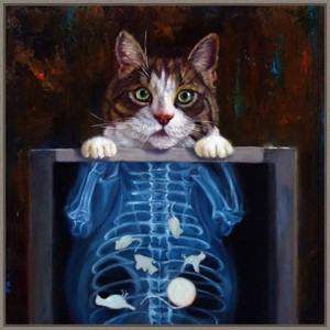 30" x 30" Cat Scan by Lucia Heffernan Framed Canvas Wall Art Print - Amanti Art: Modern Lithograph, Polystyrene Frame - 1 of 4