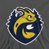 University of California-Santa Cruz Official Distressed Primary Logo Adult Pull-Over Hoodie - 2 of 4