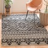 Adirondack ADR107 Non-Shedding Power Loomed Indoor Rugs - Safavieh - 3 of 4