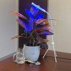 Tierra Garden Plant Grow 3 Piece Kit - Plant Grow Light, Grooming Kit and 4 Spike Water Kit - 2 of 4
