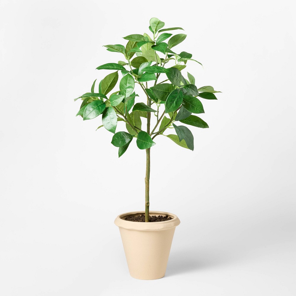 Green Leaf Mini Artificial Tree - Threshold™ designed with Studio McGee