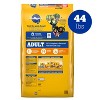 Pedigree Roasted Chicken, Grain and Vegetable Flavor Adult Dry Dog Food - 44lbs - 2 of 4