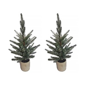 Pine Tree in Plastic Pot (Set of 2) - 1 of 3