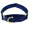 Country Brook Petz Martingale Heavyduty Training Collar with No Buckle - Service Collar for All Dogs - Vibrant, Colorful Collection - 2 of 4