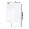 Rbied 31.5 in. W x 15.75 in. D x 47.24 in. H Metal File Cabinet Storage Cabinet Shoe Cabinet with Adjustable Shelves - 2 of 4