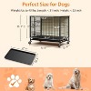 homfan 32.5 Inch Medium SmallHeavy with Wheels, Removable Tray, 2 Lockable Doors - 4 of 4