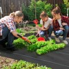 Outsunny Weed Barrier Landscape Fabric Heavy Duty, 5oz Woven Weed Control Fabric for Landscaping - 3 of 4