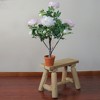 Northlight 36" Blooming Peony Flower Artificial Potted Plant - Green/Brown - 4 of 4