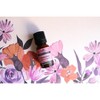 Plantlife Fragonia Aromatherapy Essential Oil – 100% Pure, Therapeutic Grade, No Additives or Fillers, 10 ml - 3 of 3