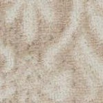 ivory mocha