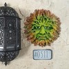 Design Toscano The Somerset Greenman Sculpture - 2 of 4