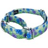 Country Brook Petz Martingale Dog Collar - Spring Collection - image 2 of 4